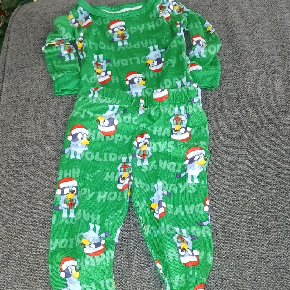 Festive Green Bluey  Kids Pajamas